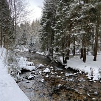 Závod skřítka Čendy