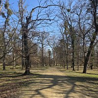 Odhalení tajemství: Najdi mého vraha