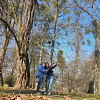 Odhalení tajemství: Najdi mého vraha