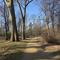 Odhalení tajemství: Najdi mého vraha