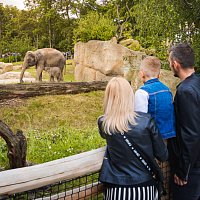 Zoo Lešná - Za lachtany přes celý svět