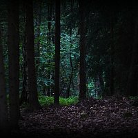 Lovci duchů - ZAKLETÁ STEZKA